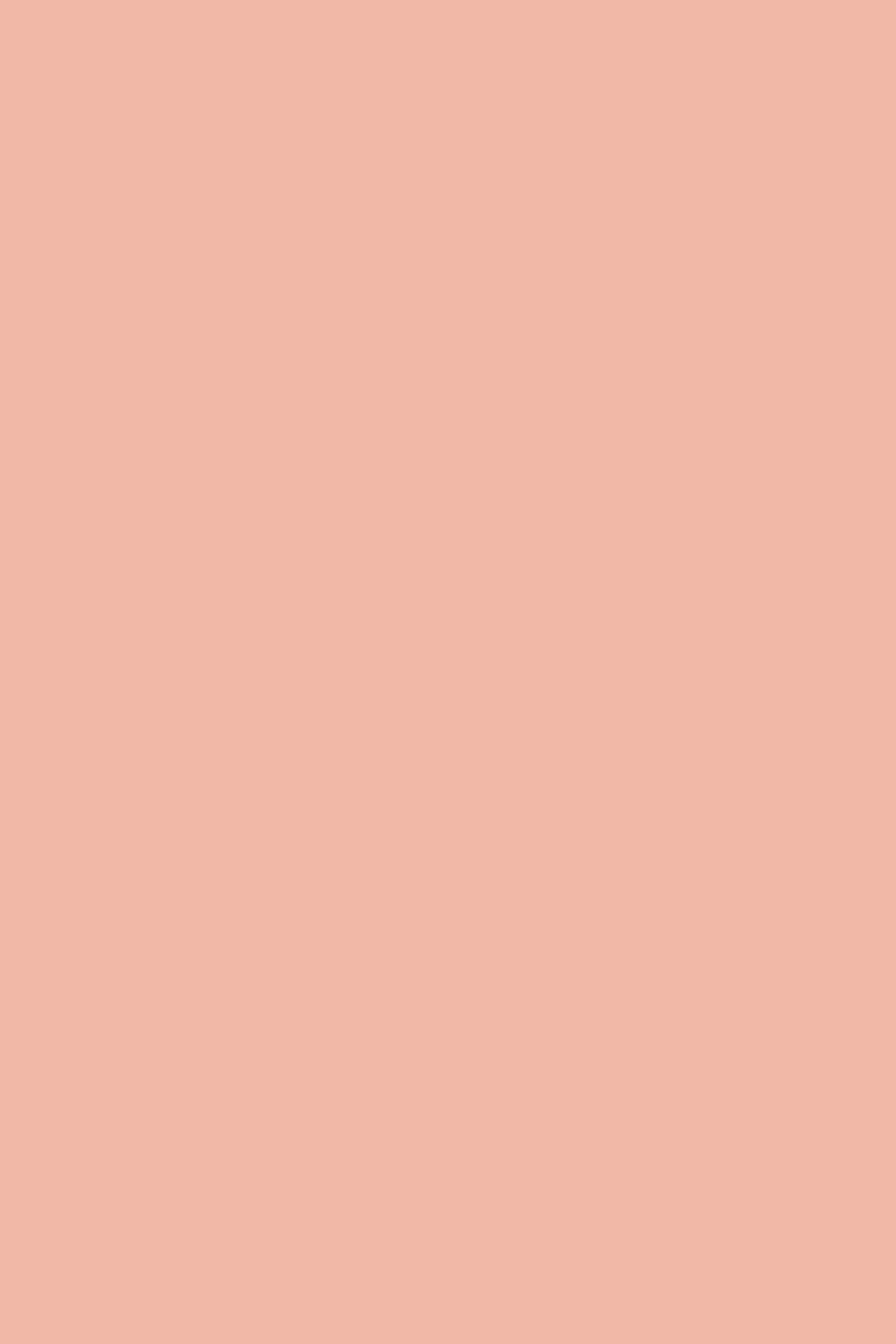Nutricolor 11
