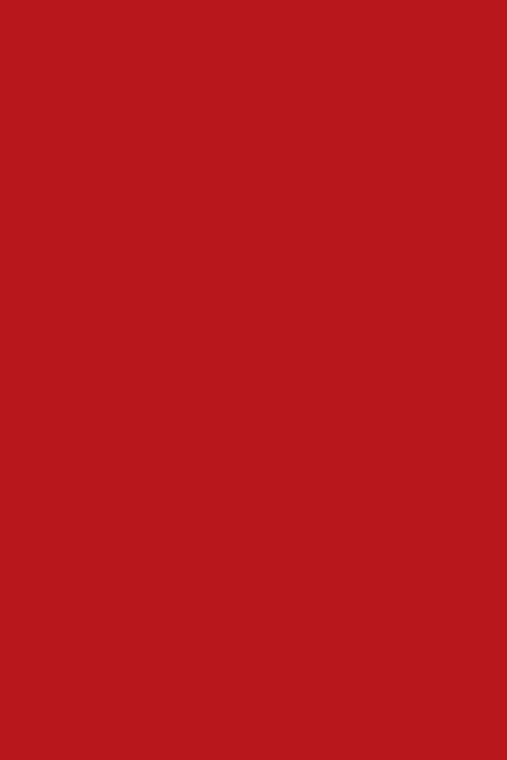 Nutricolor 38