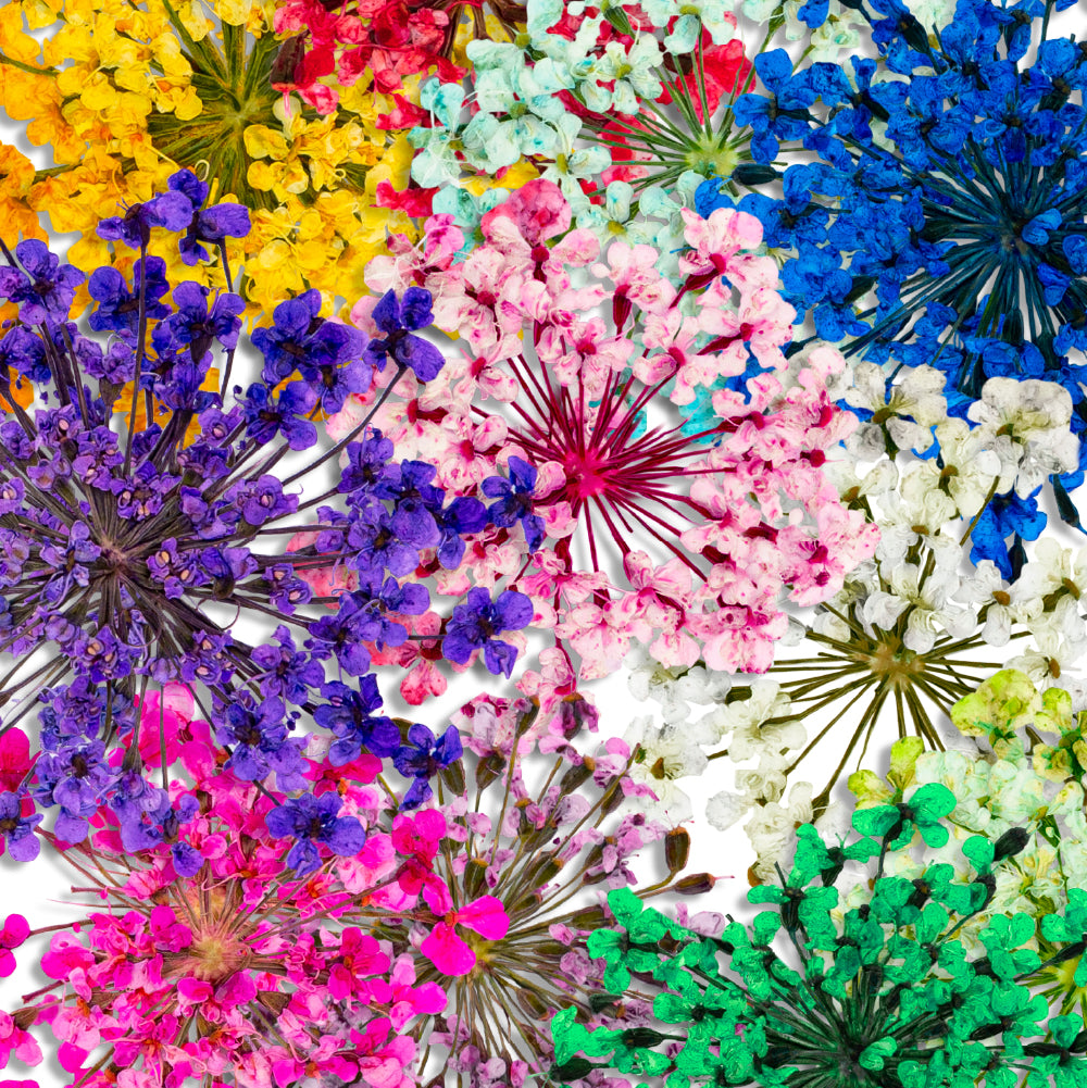 Flores Secas para Unhas - Flora Collection