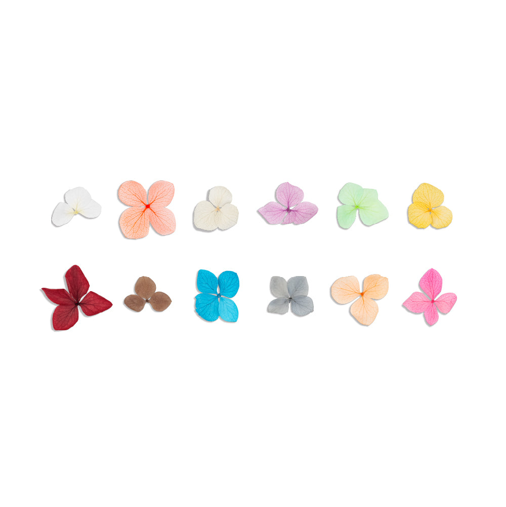 Flores Secas para Unhas - Natura Lovers 3