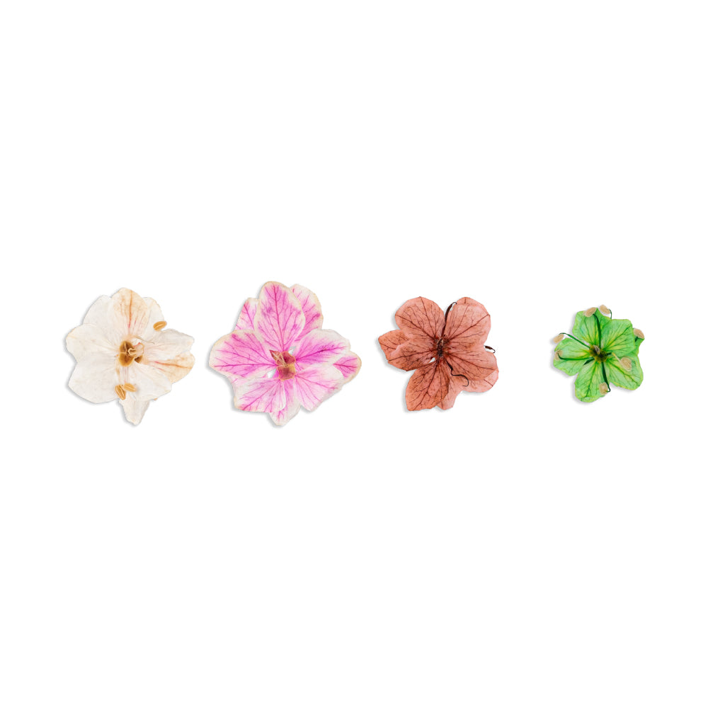 Natura Flowers